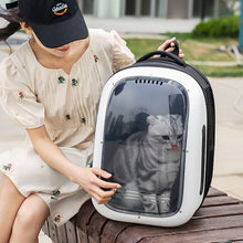 Pet Backpack Carrier